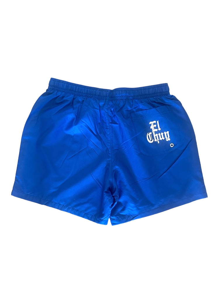 DALLAS SWIM TRUNKS (BLUE)