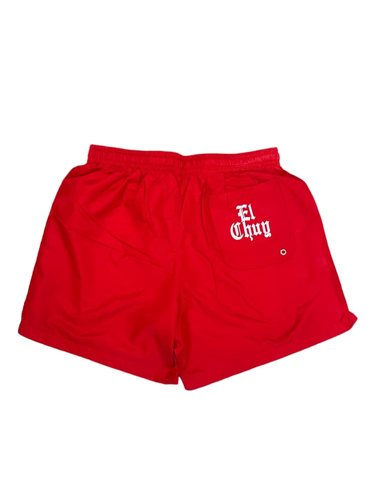 DALLAS SWIM TRUNKS (RED)